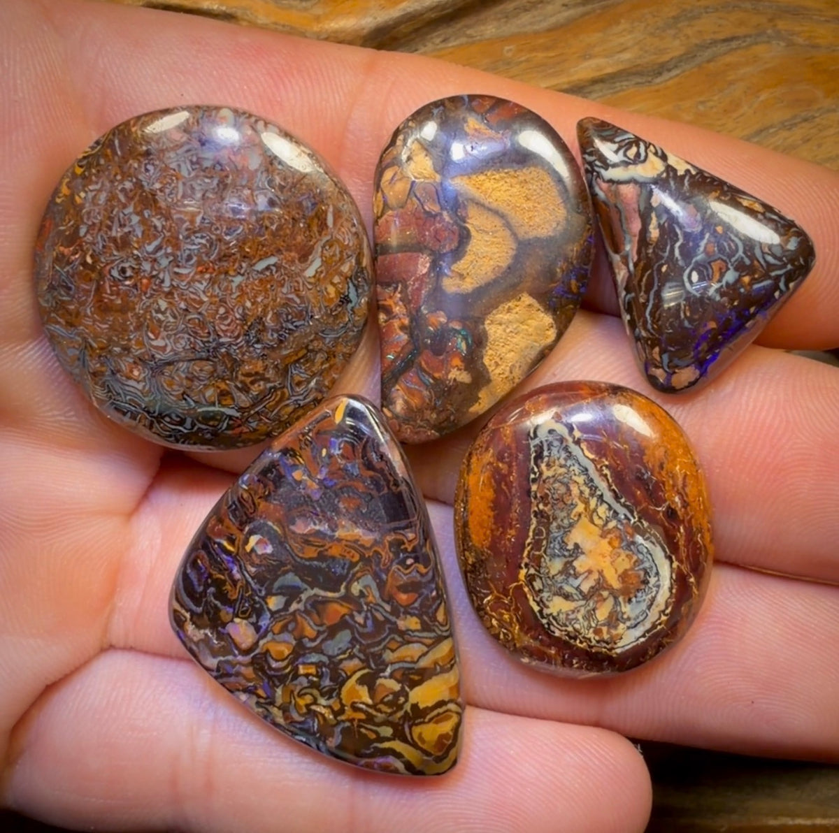 167.5cts - 5x Australian Tribal Boulder Opal’s. Wholesale Dealers Parcel