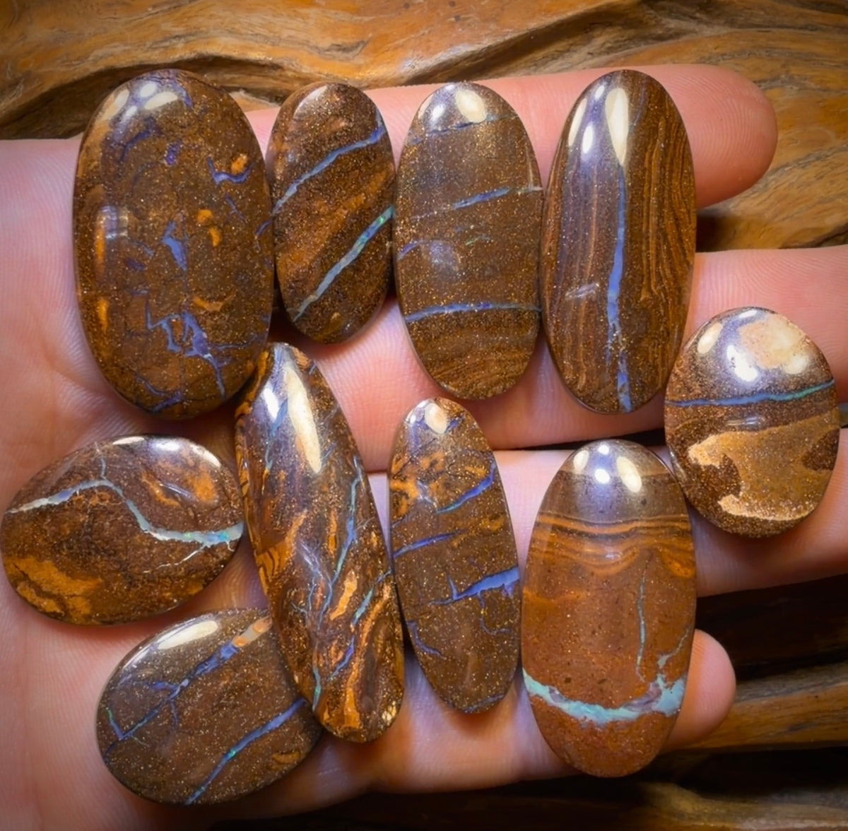 322.6cts - 10x Australian Boulder Seam Opal’s. Wholesale Dealers Parcel