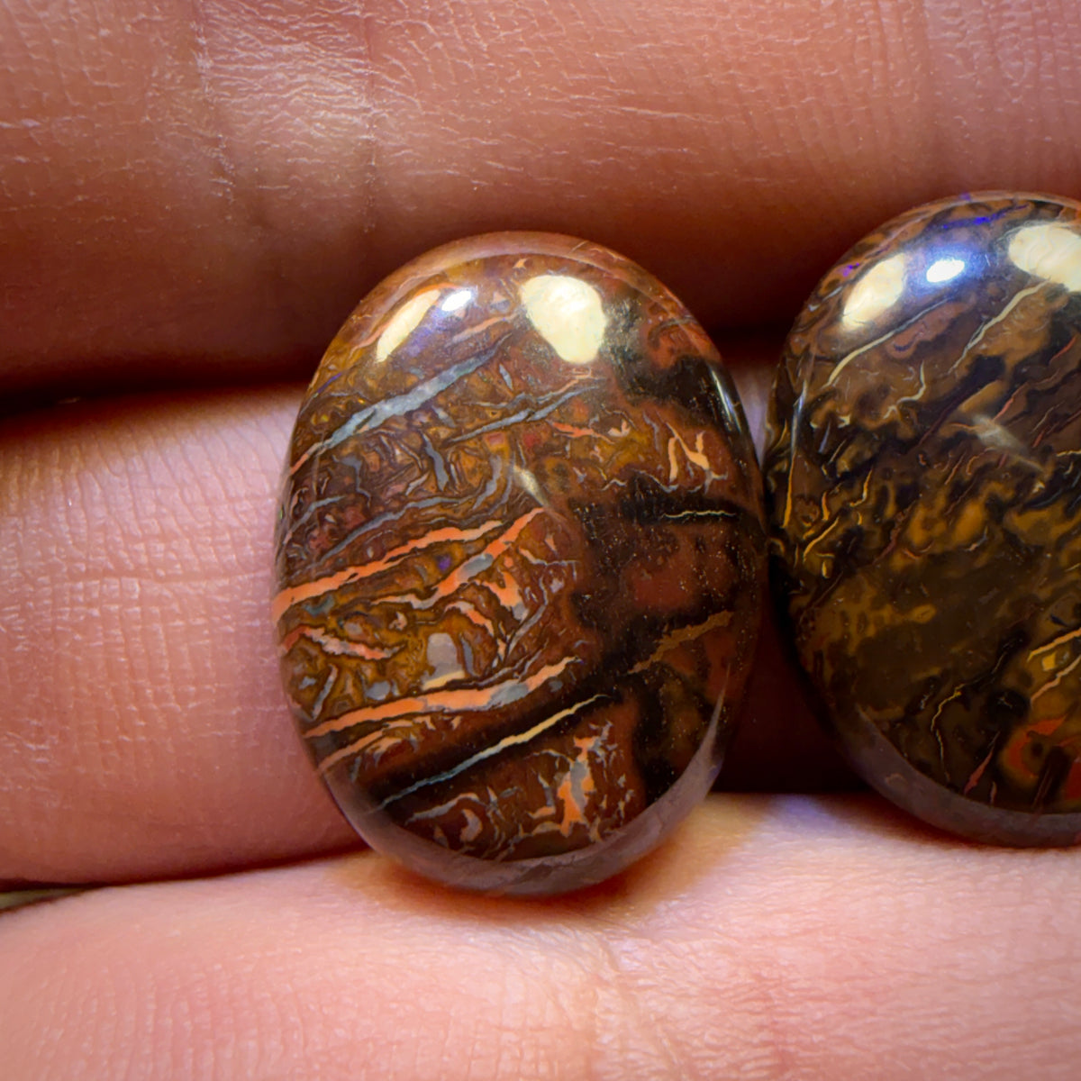 53.5cts - 3x Australian Tribal Boulder Opal’s. Wholesale Parcel