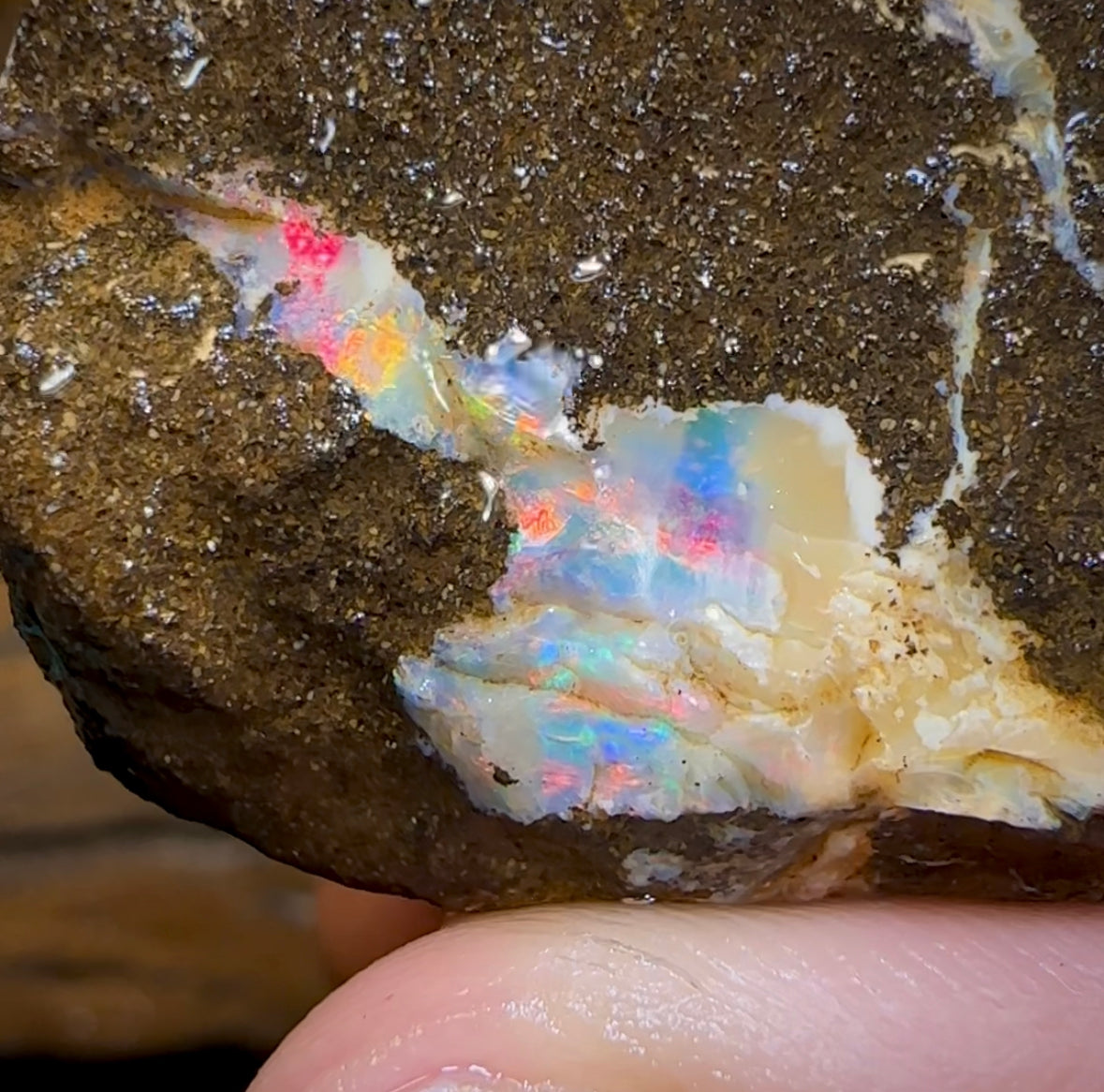 170.3cts - Australian Boulder Opal Rough Piece. Natural Split - Opal Whisperers