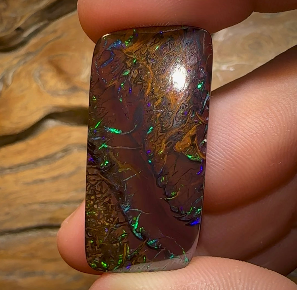 48.3cts - Tribal Pattern Electric Koroit Nut Opal - Opal Whisperers