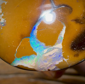 34 x 29mm - Drilled Australian Boulder Opal Necklace. Wonderful Picture Stone