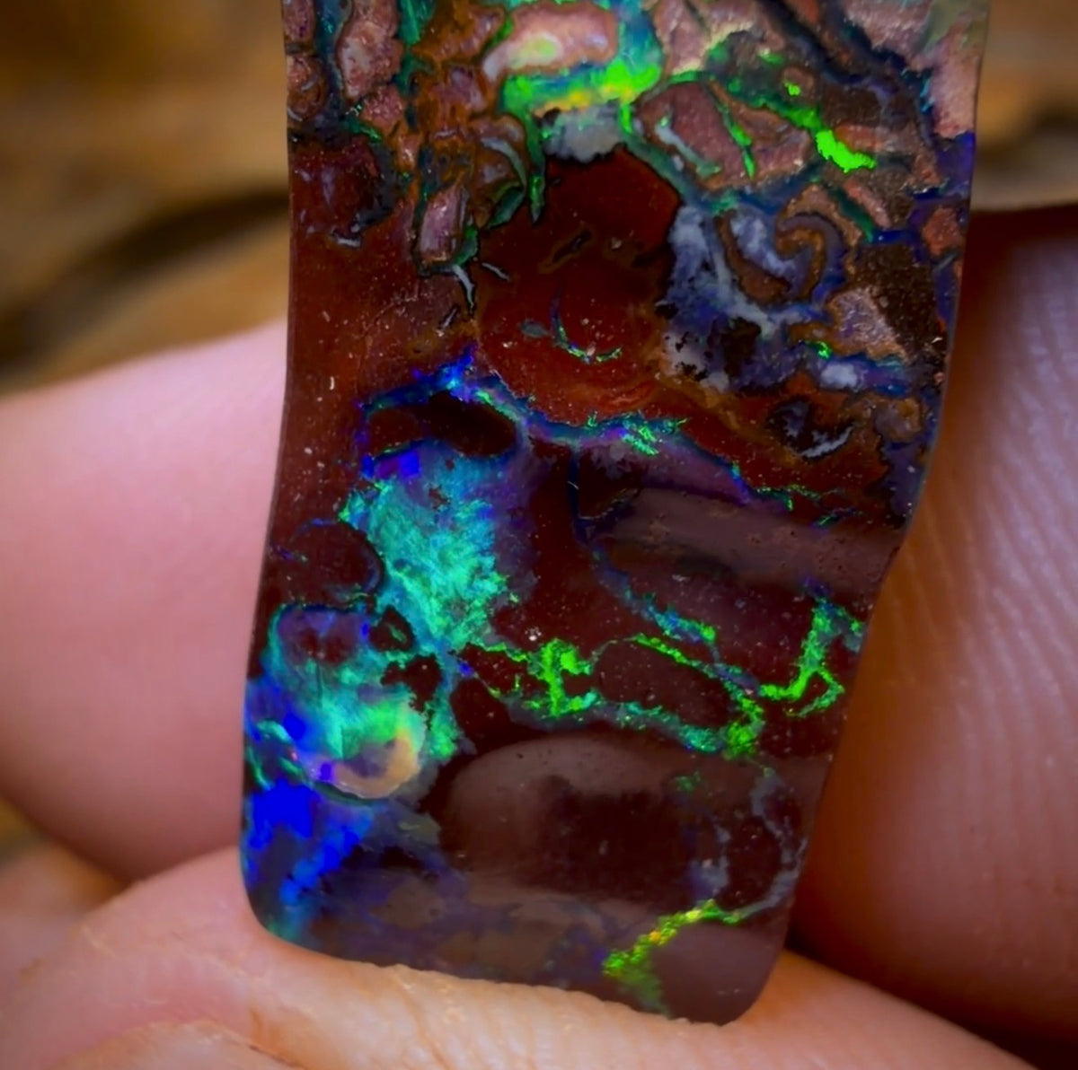 29.9cts - Top Tribal Boulder Opal from Koroit. Electric Green!