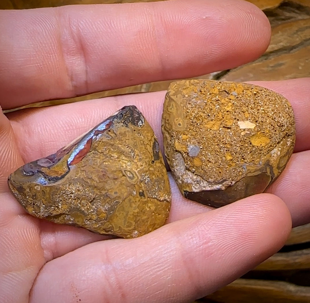 83.6cts - Yowah Nut Kernel Opal Polished Specimen Pair - Opal Whisperers