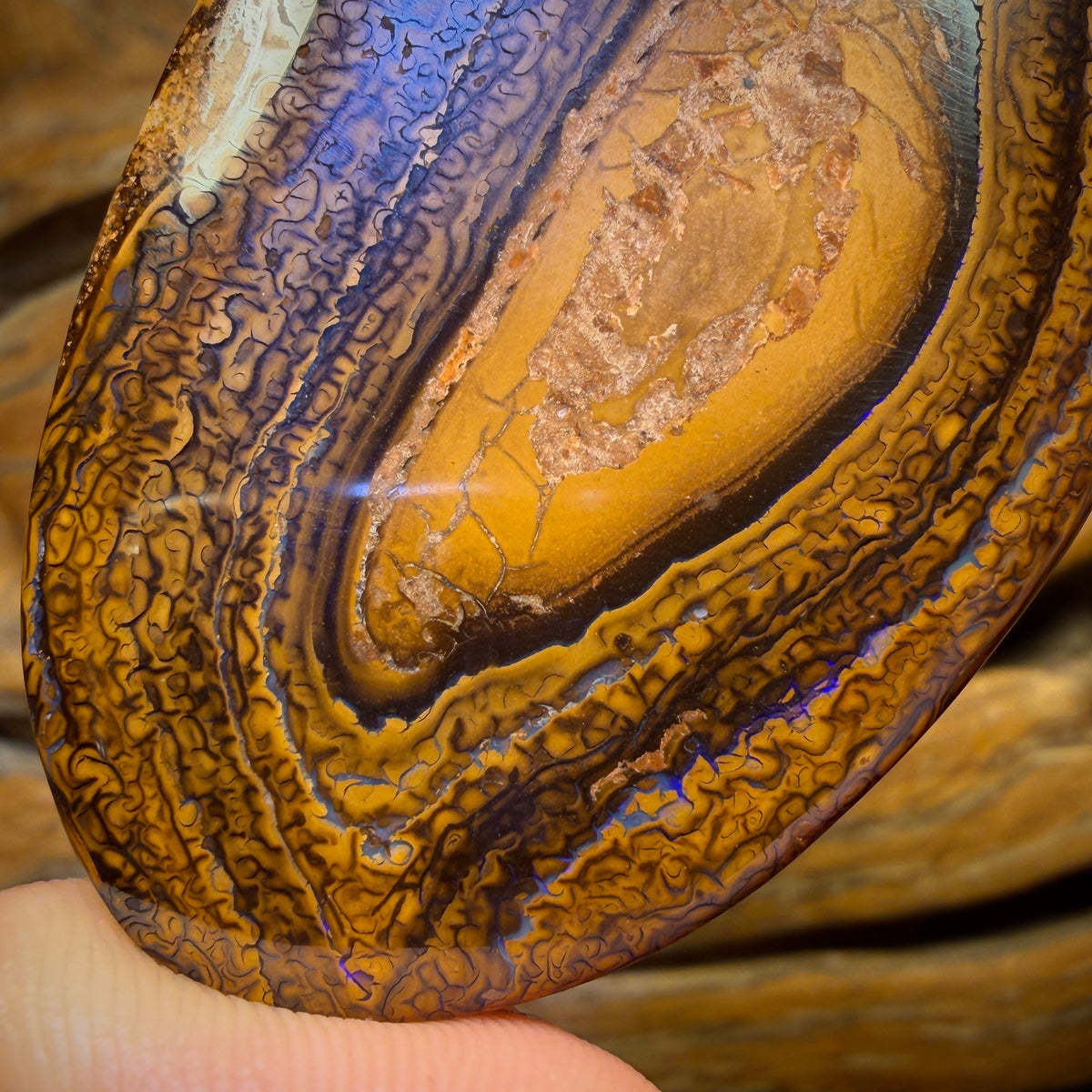 248.8cts - Large Tribal Queensland Boulder Opal from Yowah $1/ct Massive Cut Stone