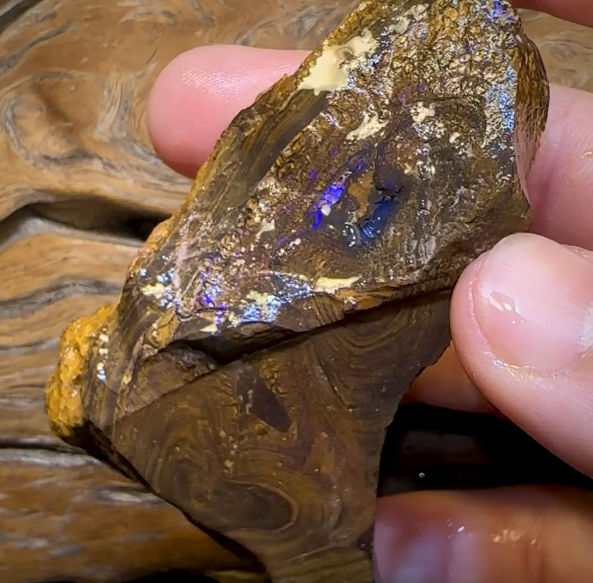 425cts - Queensland Boulder Opal Rough Piece