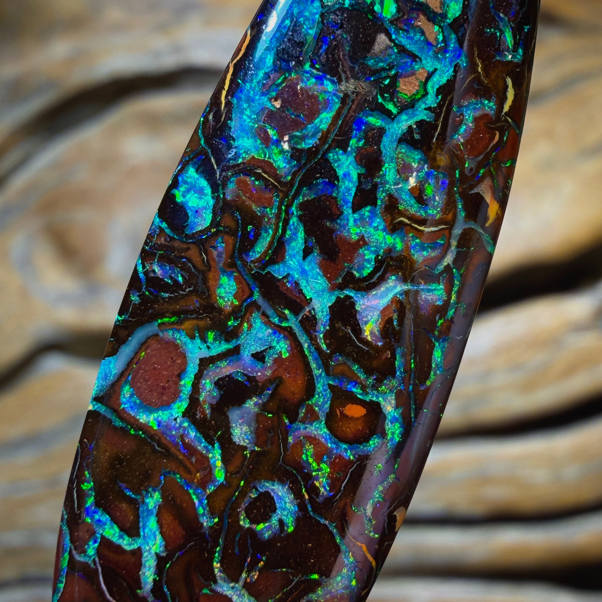34.7cts - TOP Tribal Queensland Boulder Opal from Koroit. Double Sided