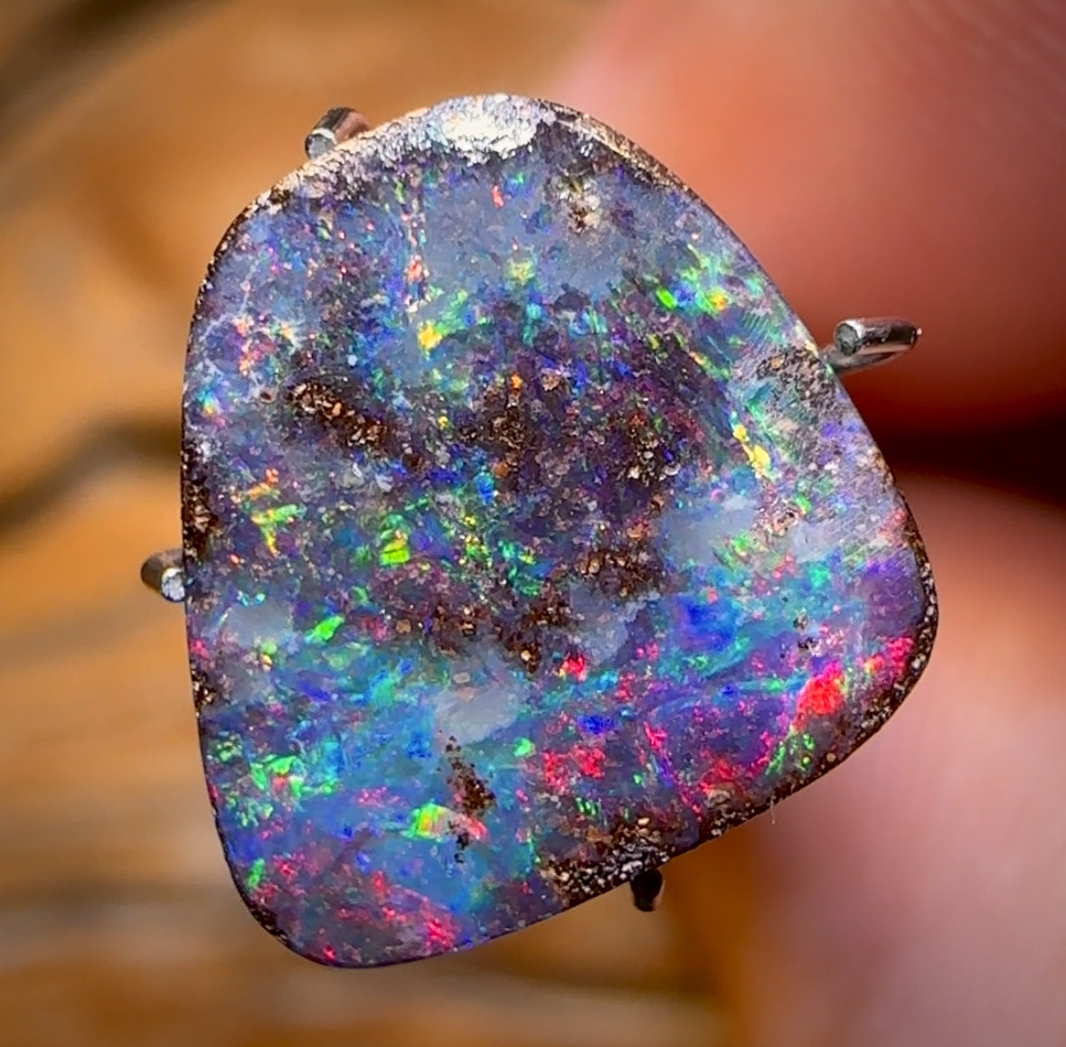 4.1cts - Queensland Boulder Seam Opal Great Red Fire