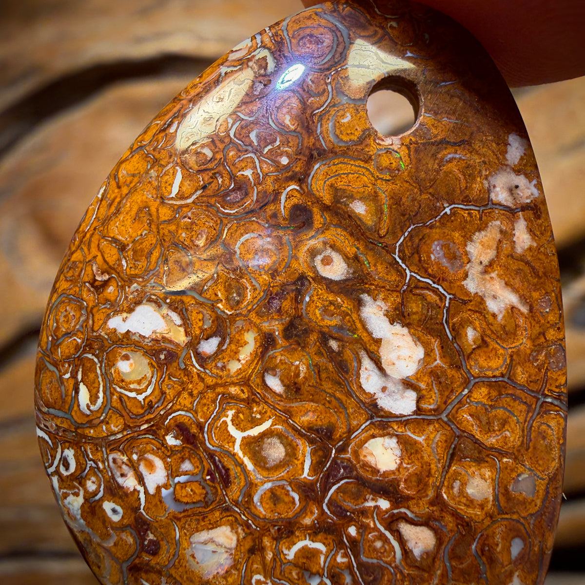 36 x 27mm - Drilled Tribal Queensland Boulder Opal