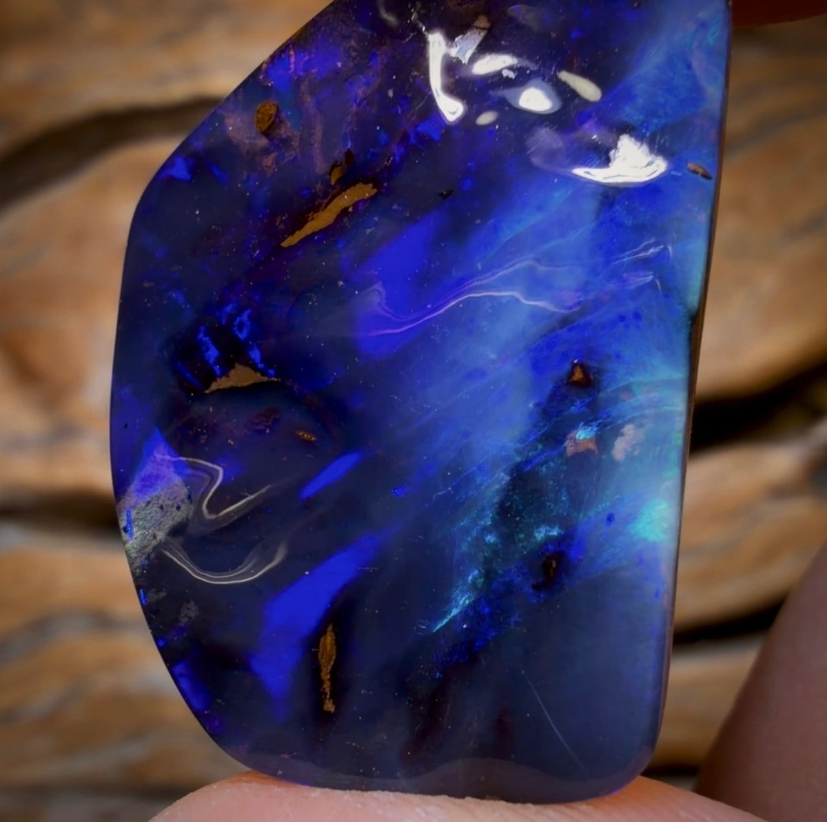 35.1cts - GEM Rare Queensland Boulder Black Opal