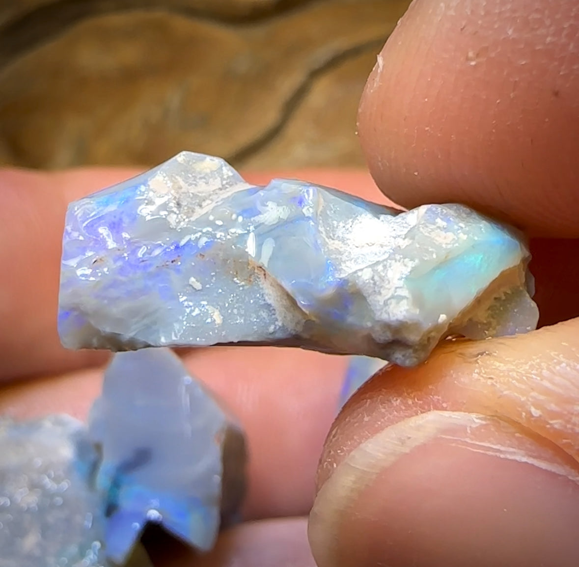 65.4cts - 4x Lightning Ridge Opal Rough Parcel