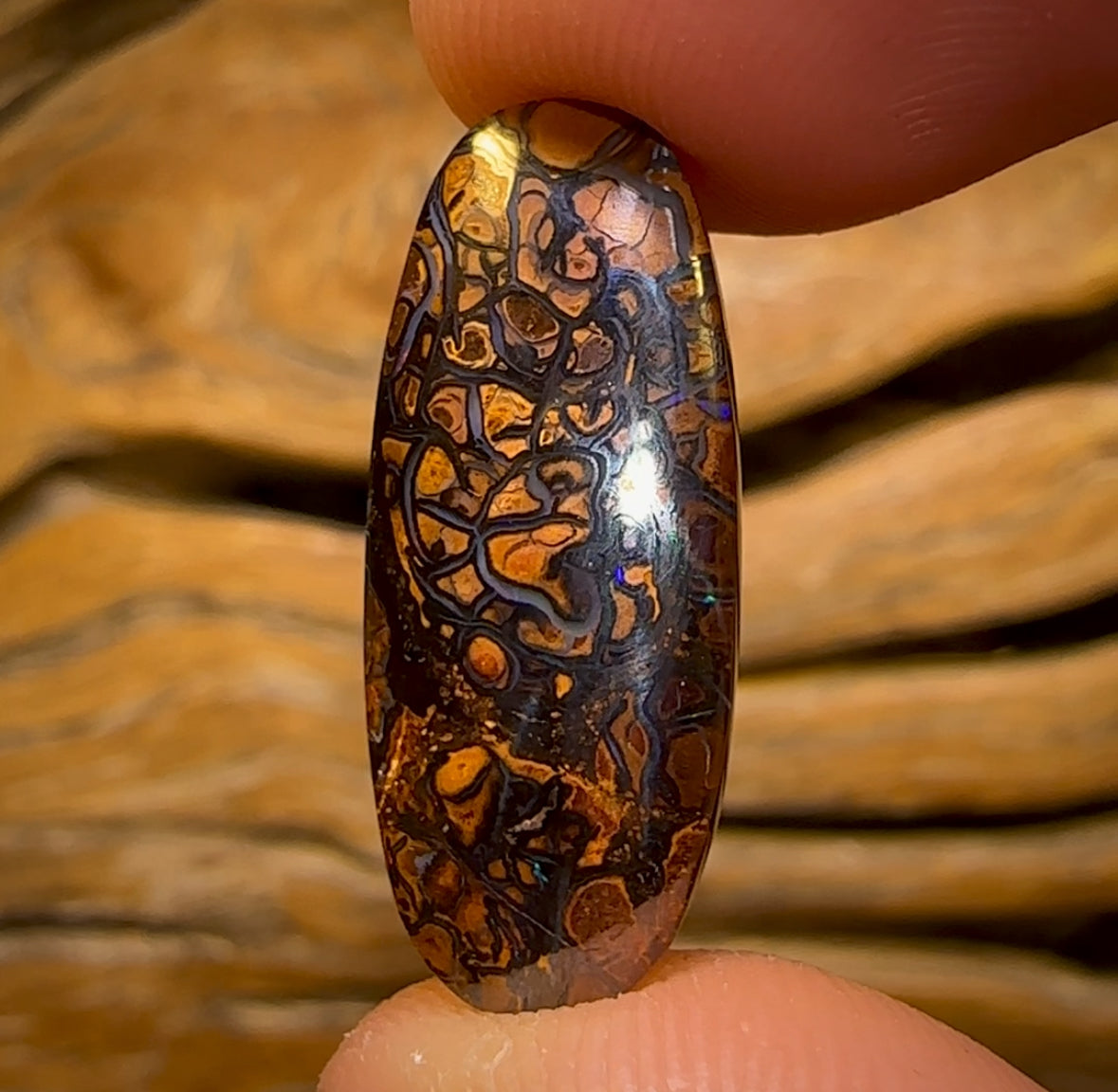 13.6cts - Tribal Queensland Boulder Opal from Yowah. Multicolours!