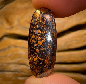 13.6cts - Tribal Queensland Boulder Opal from Yowah. Multicolours!