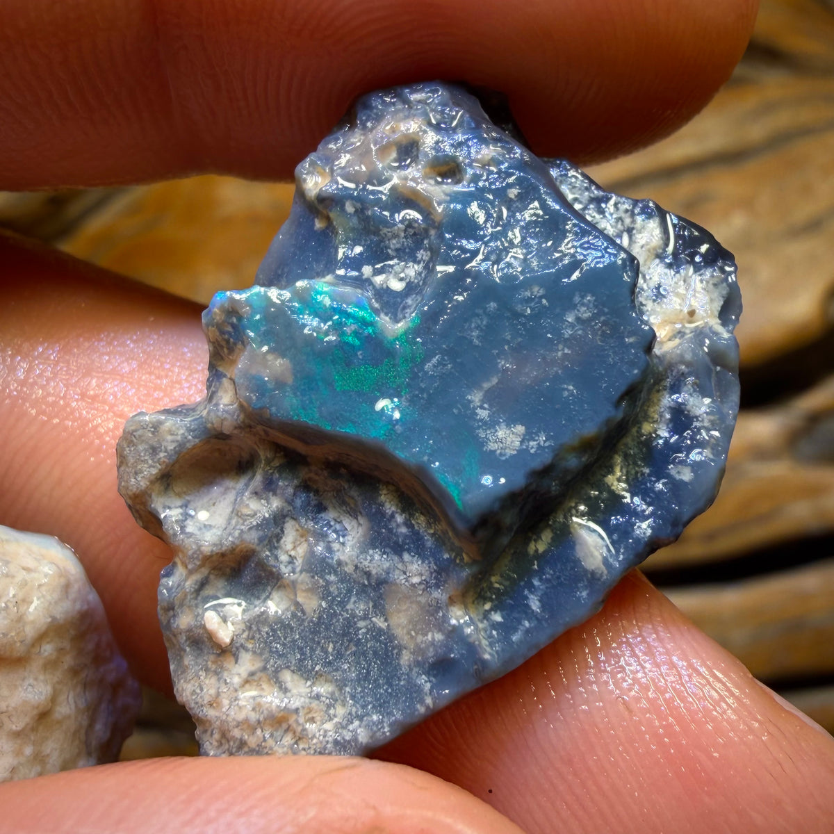186.6cts - 5x Lightning Ridge Opal Rough Parcel