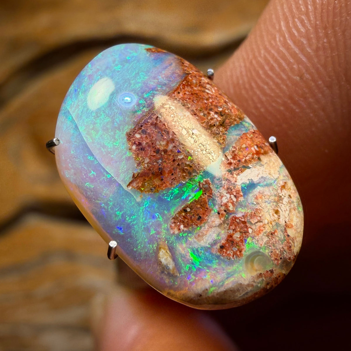 🔨 AUCTION 🔨 💎 High Roller Banger Auction 💎 5.5cts - Solid Australian Boulder Pipe Opal