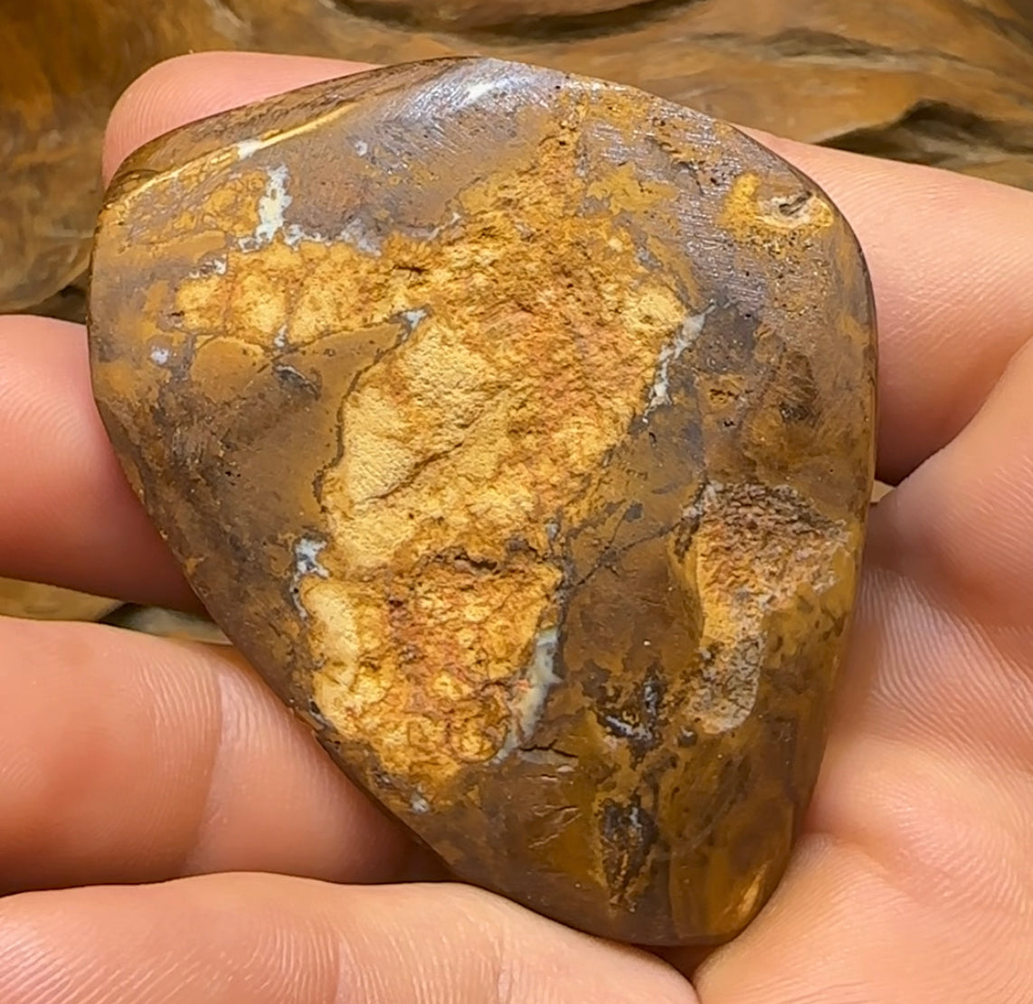 337cts - Australian Boulder Opal White Tribal Specimen Polished - Opal Whisperers