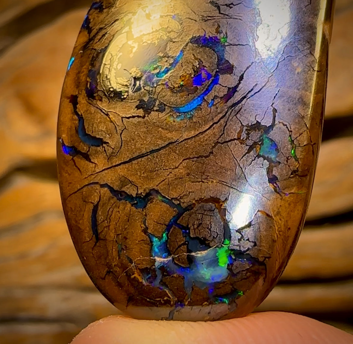 66.1cts - Queensland Boulder Opal from Yowah