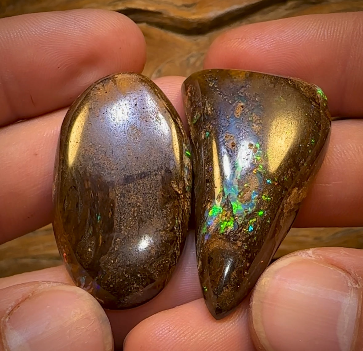Auction Fall-Through = Your Gain! 🔥 117.5cts - Rare Australian Boulder Wood Fossil Opal Split Pair Bid for One Bid For Both