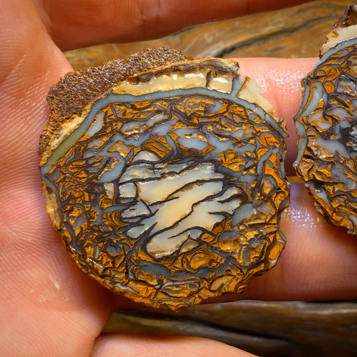 Wildcard! 112.8cts - Yowah Nut Tribal Opal Rough Specimen Pair