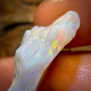 12.7cts - South Australian White Opal Rough Piece