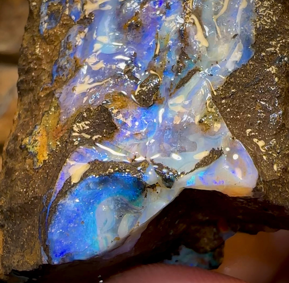 383.5cts - Australian Boulder Opal Rough Preform. Natural Split - Opal Whisperers