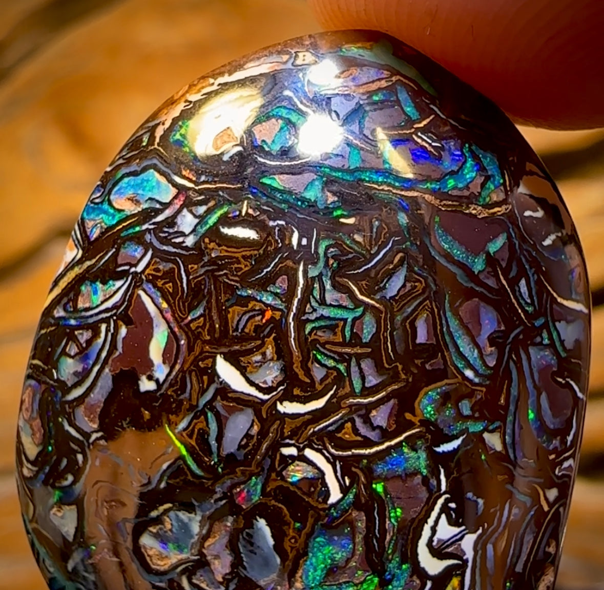 92.4cts - Top Tribal Koroit Nut Opal. Australian Opal