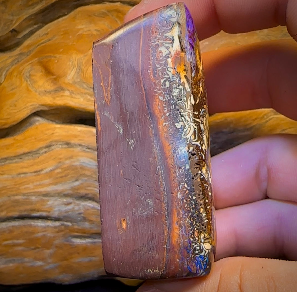 910.5cts - Large Tribal Queensland Boulder Opal. Polished Specimen