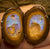 51.8cts - Yowah Nut Opal Specimen Split