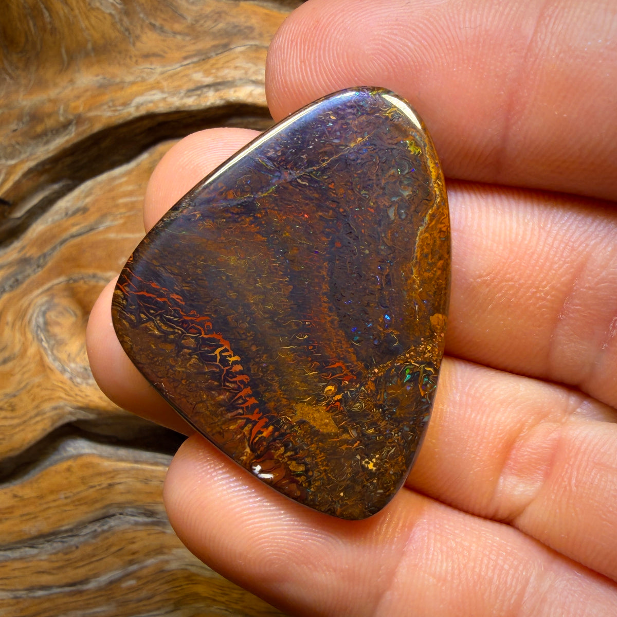 59.8cts - Great White Tribal Queensland Boulder Opal Firey Picture Stone. Red Multicolour Bargain