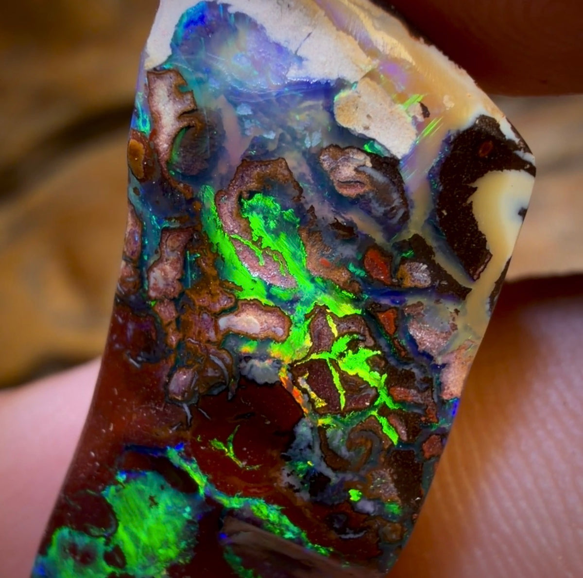 29.9cts - Top Tribal Boulder Opal from Koroit. Electric Green!