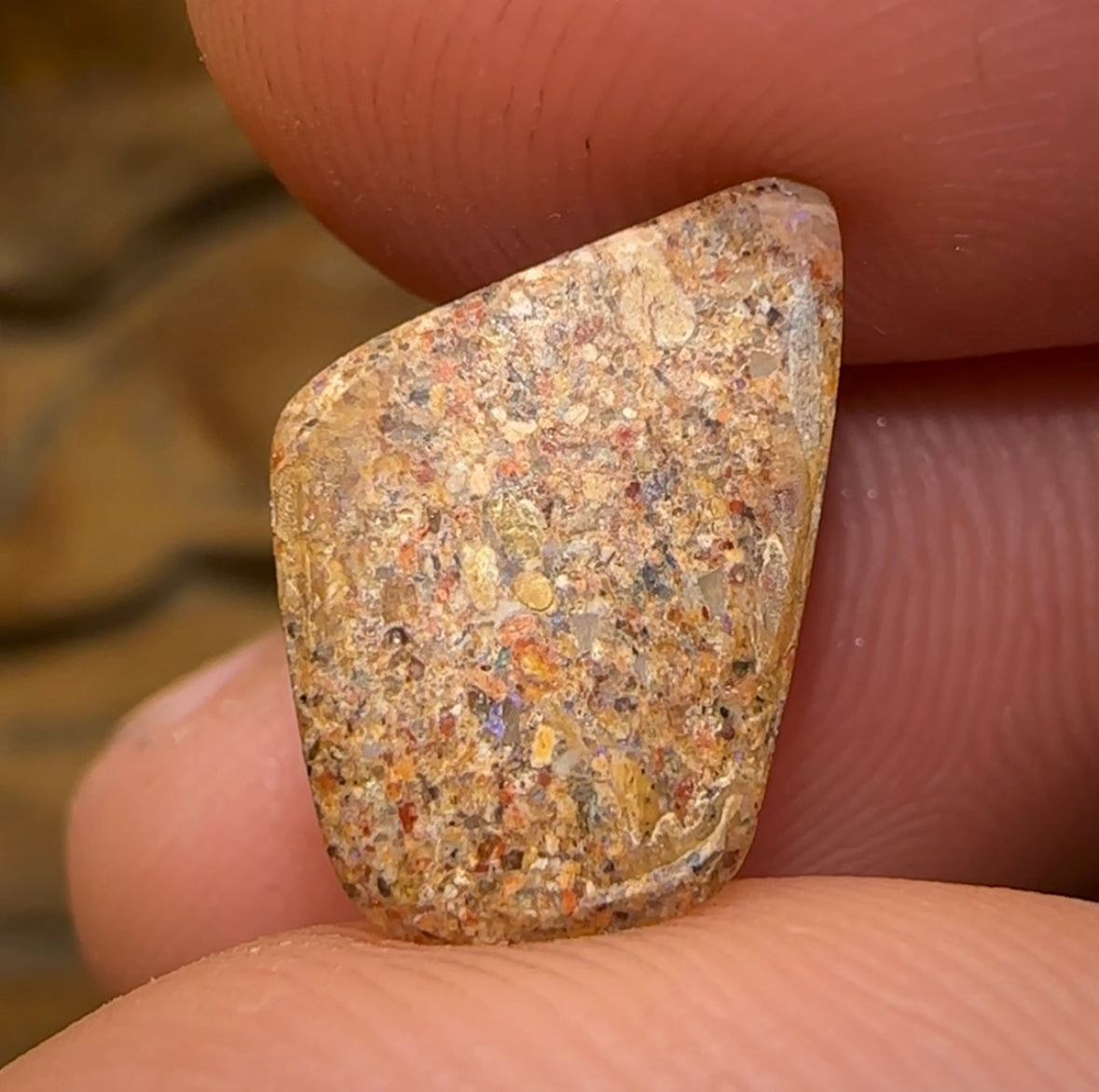 3.2cts - Boulder Pipe Crystal Australian Opal - Opal Whisperers