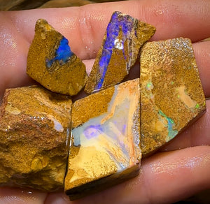 227cts - 5x Queensland Boulder Pipe Opal Rough Parcel