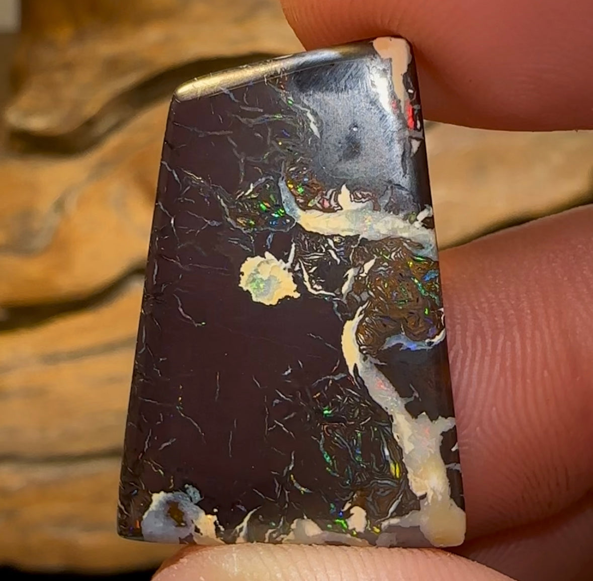 24.8cts - Queensland Boulder Opal from Koroit - Opal Whisperers