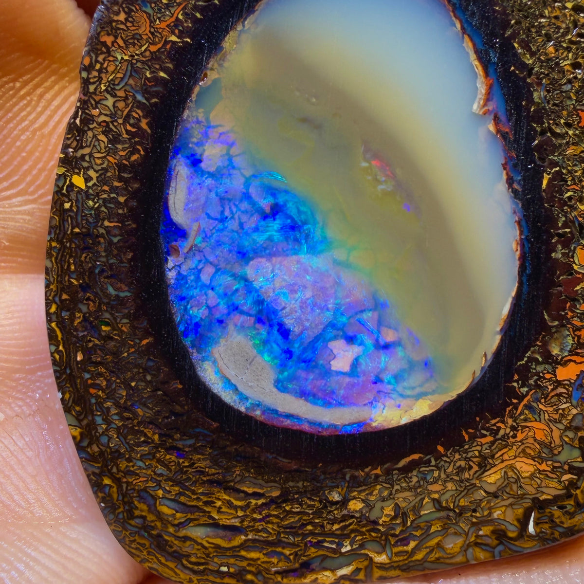 Dad Card! 293cts - Yowah Nut Crystal Centre Rub Specimen Pair