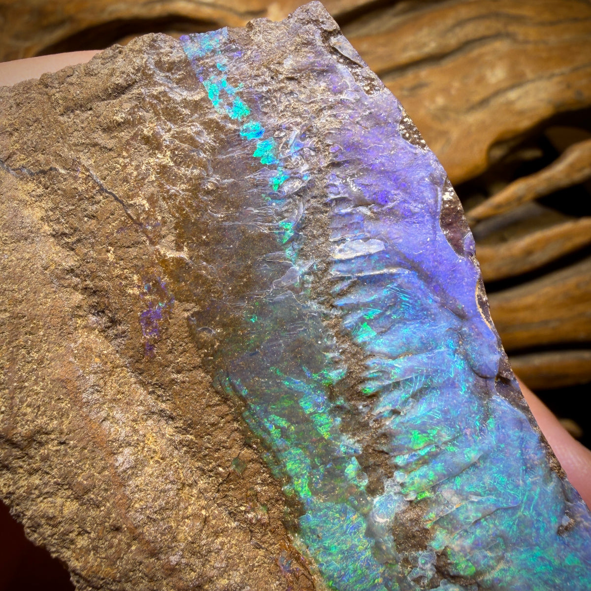 781.5cts - LARGE Queensland Boulder Seam Opal Rough Specimen