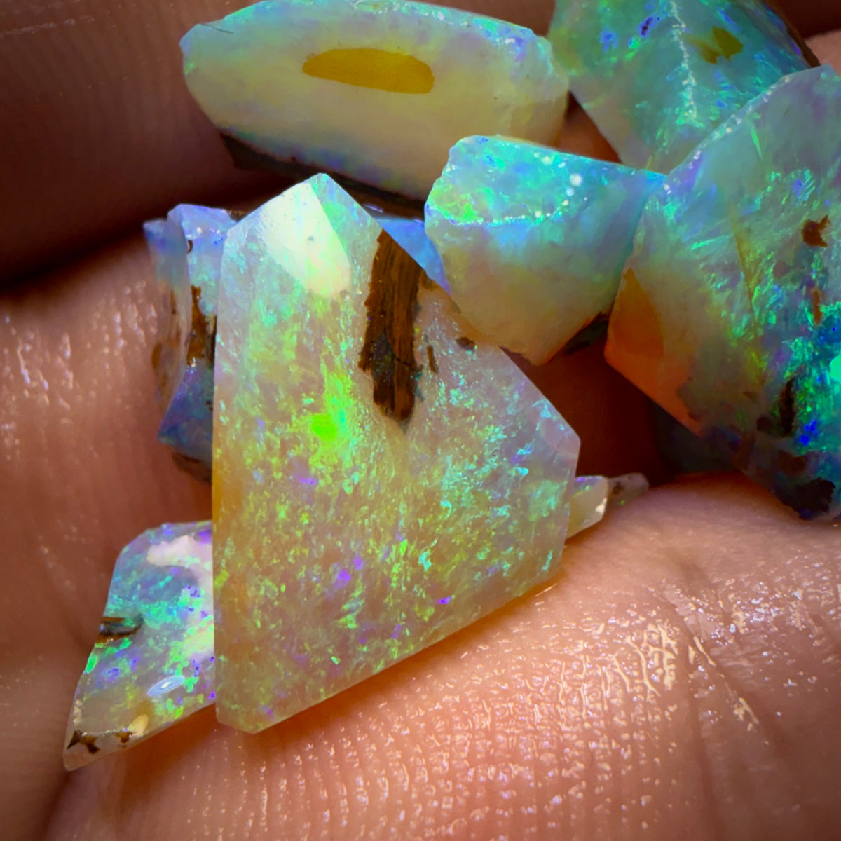 41cts - 10x Australian Yowah Wood Fossil Crystal Opal Rough Pieces. Highly Prized Material