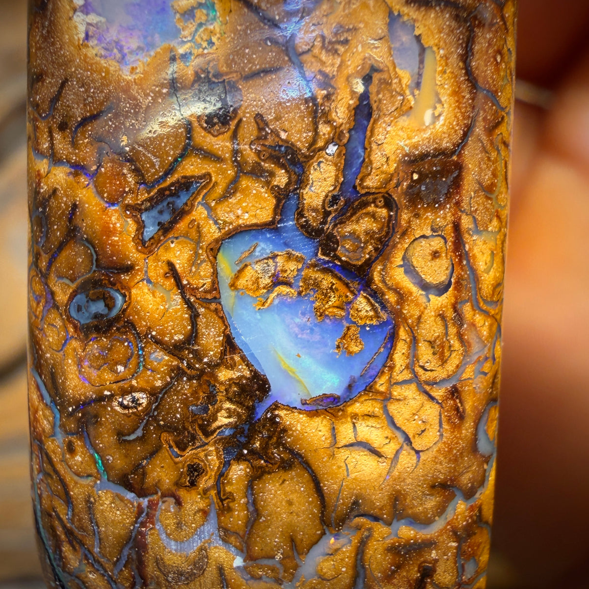 39 x 18mm - Drilled Tribal Queensland Boulder Opal Necklace