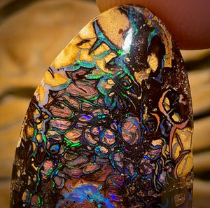 45.6cts - Tribal Queensland Boulder Opal. Australian Opal