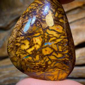 HDW 46.1cts - Tribal Queensland Boulder Opal. Australian Opal