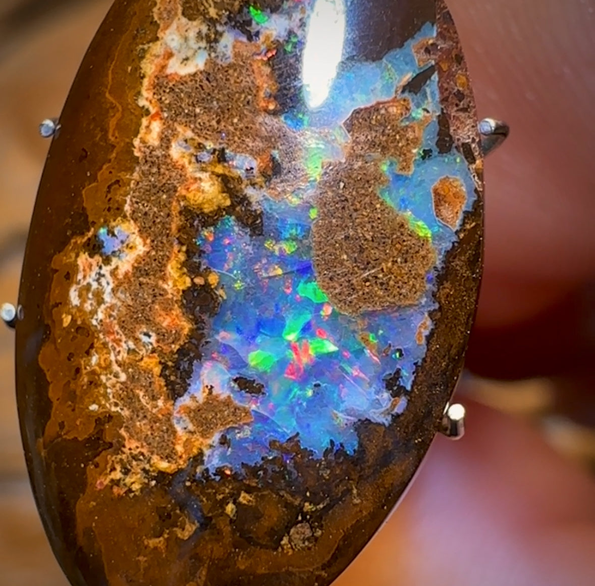 13.1cts - Australian Boulder Opal from Yowah