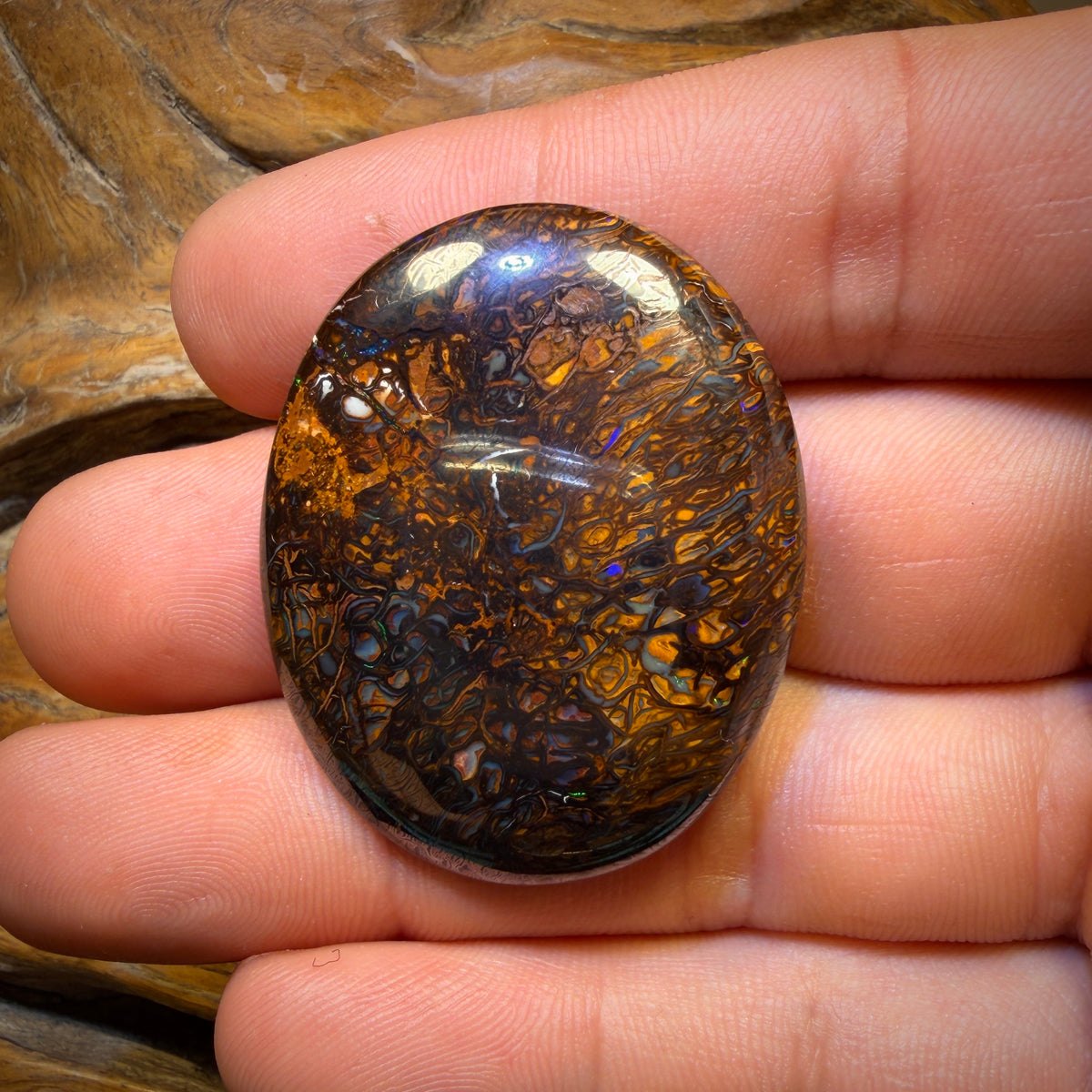 101.4cts - Big Tribal Yowah Nut Opal. Double Sided Bargain