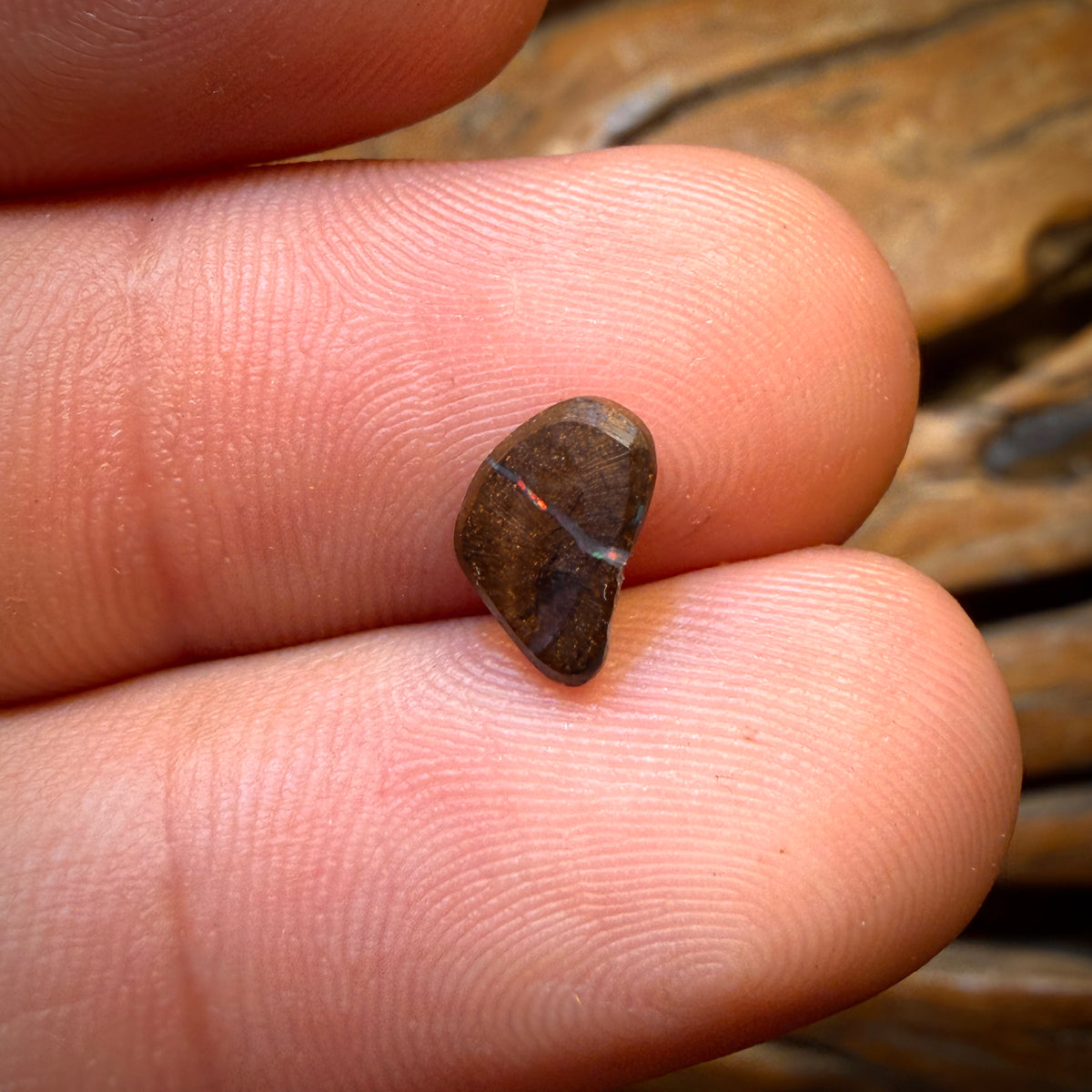 Half Price Card! 1.4cts - Queensland Boulder Seam Opal from Winton. Top Red Multi