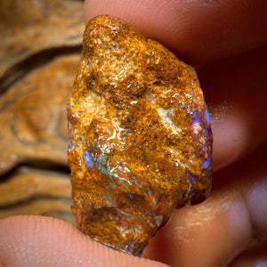 44.9cts - Great Opalised Wood/Vegetation Fossil Rough Opal Piece from Yowah