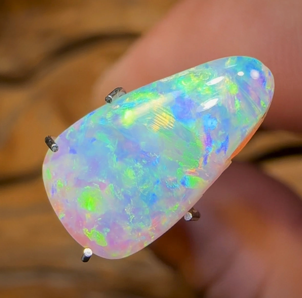 2.5cts - Top Quality Solid Australian Boulder Pipe Opal - Opal Whisperers