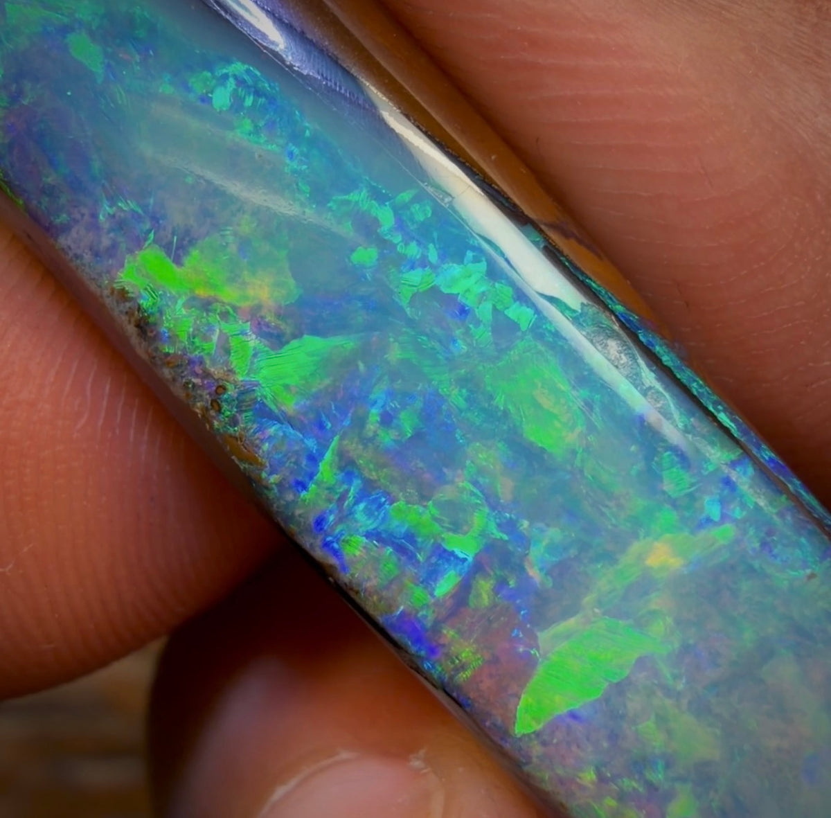96.2cts - “Adams Rib”GEM Fossil Crystal Opal. Isaac’s Cut!