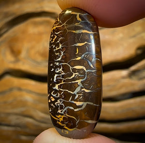 Auction Fall-Through = Your Gain! 🔥 Now More Than 50% Off RRP 🚨 20.1cts - “hieroglyphic Dancers” Crazy Pattern Queensland Boulder Opal from Koroit Art of Opal Worthy