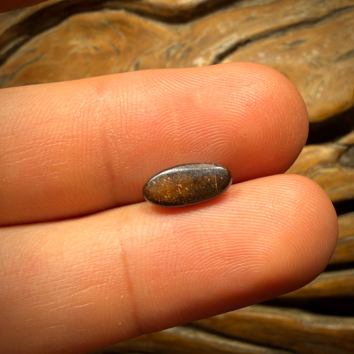 1.5cts - Queensland Boulder Seam Opal from Winton
