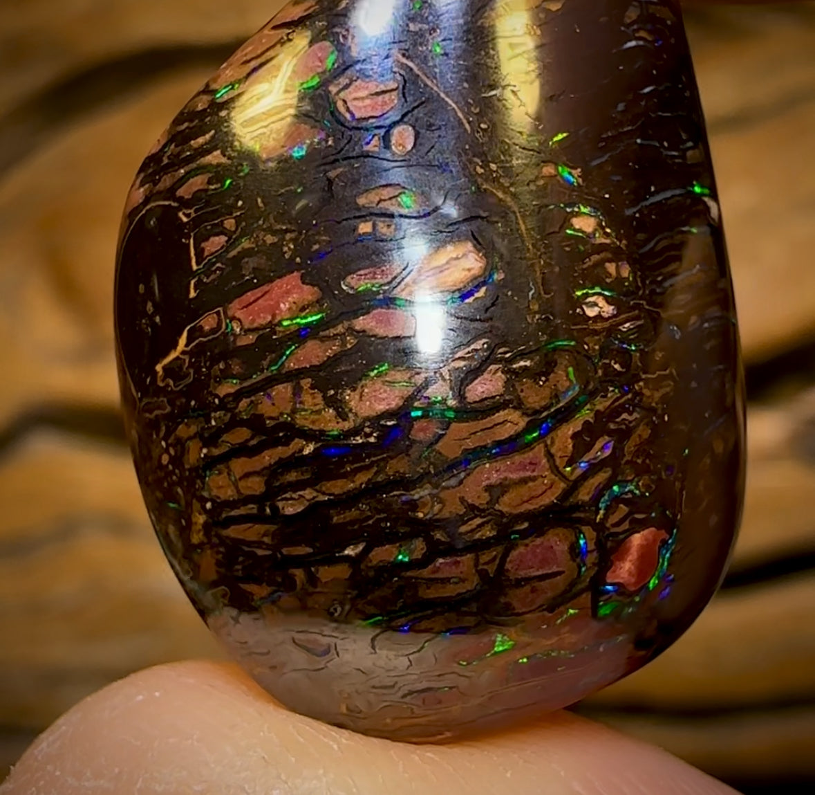 Auction Fall-Through = Your Gain! 🔥 Now More Than 50% Off RRP 🚨 43.8cts - Tribal Queensland Black Boulder Opal from Koroit. Great Cut