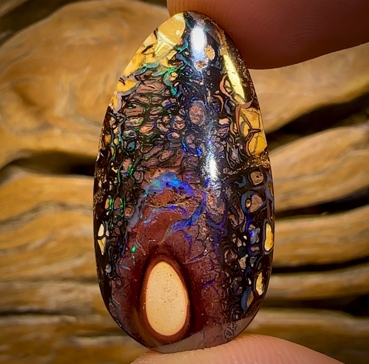 45.6cts - Tribal Queensland Boulder Opal. Australian Opal