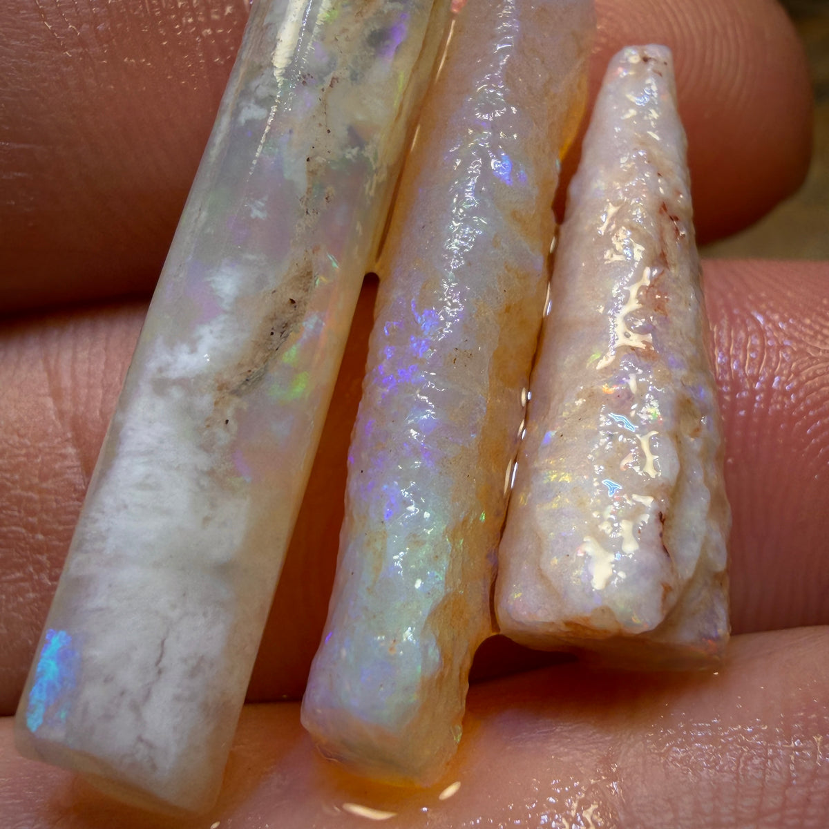 24.2cts - 3x Opalised Belemnite Geological Specimens from South Australia